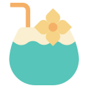 bebida de coco icon