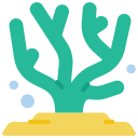 coral icon