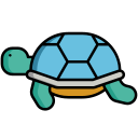 tortuga icon