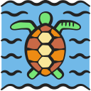 tortuga