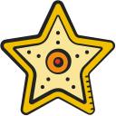 estrella de mar 