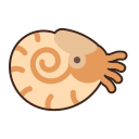 nautilo icon