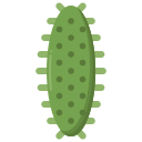 pepino de mar icon