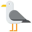 gaviota icon