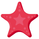 estrella de mar 