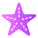 estrella de mar icon