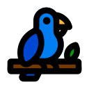 pájaro icon