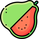 guayaba icon