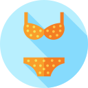 bikini icon