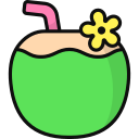 bebida de coco icon