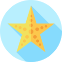 estrella de mar icon