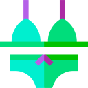 bikini icon