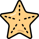 estrella de mar