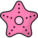 estrella de mar icon