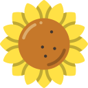 girasol icon