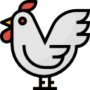 pollo icon