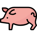 carne de porco 