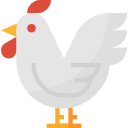 pollo icon