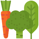 vegetales icon