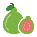 guayaba icon