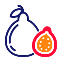 guayaba icon