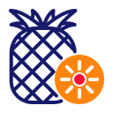 piña icon