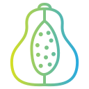 papaya icon