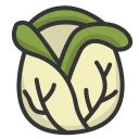 coliflor icon