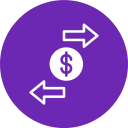 Money icon
