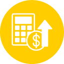 Accounting icon