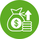 Money bag icon