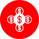 Money icon