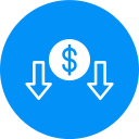 Money icon