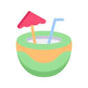 bebida de coco icon