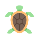 tortuga icon