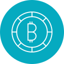 bitcoin icon