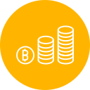 bitcoin icon