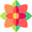 kalanchoe icon