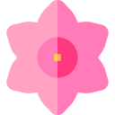 pentas icon