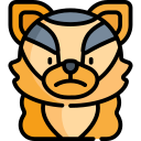 tigre icon