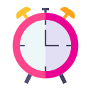 reloj icon