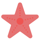 estrella de mar