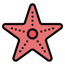 estrella de mar