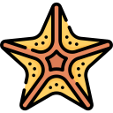 estrella de mar icon