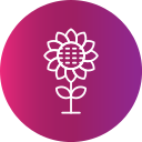 girasol icon