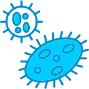 bacterias icon