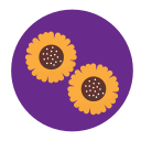 girasol icon