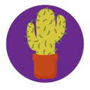 cactus icon