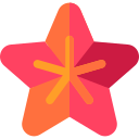 estrella de mar 