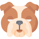 buldog icon